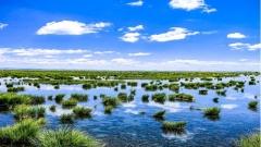 Ruoergai Flower Lake Travel Guide: Best Season, Route, Photography & Practical Tips