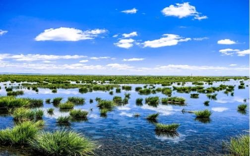 Ruoergai Flower Lake