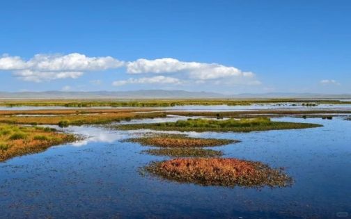 四川若尔盖花湖_3_果粒陈🍊_来自小红书网页版