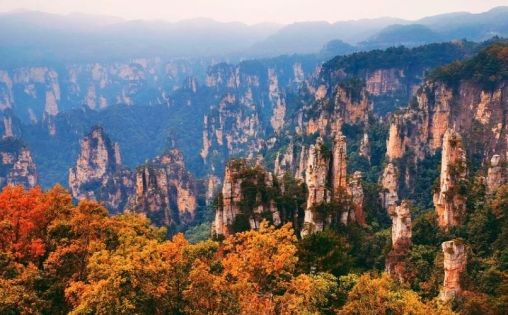 Zhangjiajie Best Travel Time Full Guide | Spring and Autumn Travel Tips