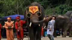 Yunnan Xishuangbanna Attractions Guide｜Explore Rainforest and Ethnic Customs