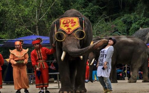 Yunnan Xishuangbanna Attractions Guide｜Explore Rainforest and Ethnic Customs