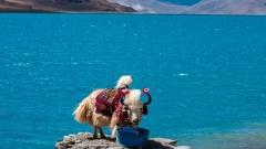 Which city is the best to fly to Xizang ? A Guide to Flights to Xizang