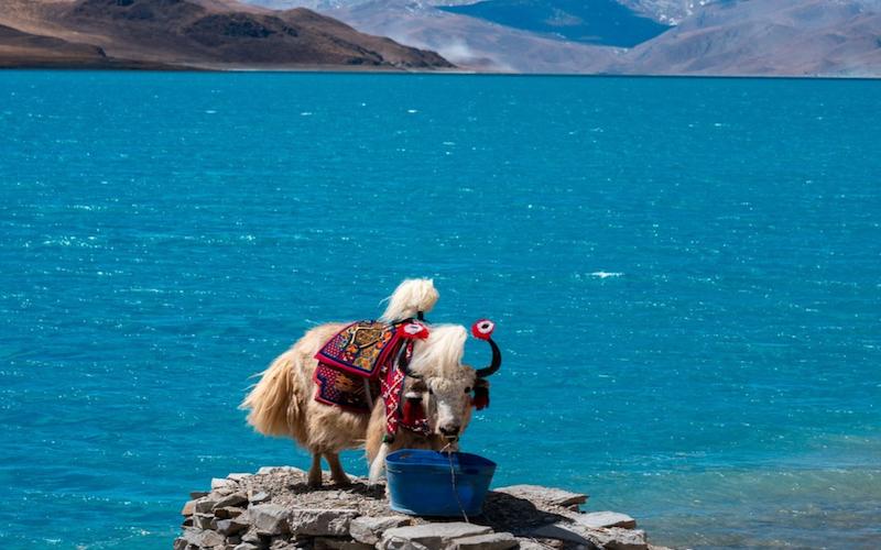 12-Day Lhasa to Kathmandu Group Tour: EBC, Manasarovar & Kailash