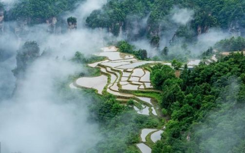 Zhangjiajie Best Travel Time Full Guide | Spring and Autumn Travel Tips