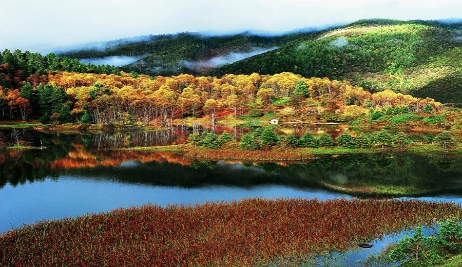 普達措國家森林公園3