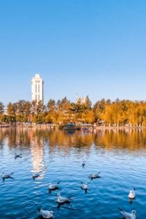 Kunming Travel Guide: Explore Dianchi Lake, Western Hills & Stone Forest