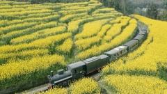 Sichuan Flower Season Guide: Best Places to See Flowers in Every Season