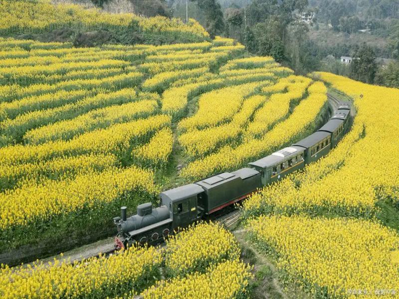 Jiayang Small Train, Qianwei: