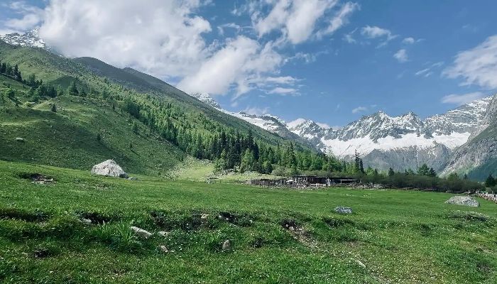 Shuangqiao Gully of Four Girls Mountain in Summer