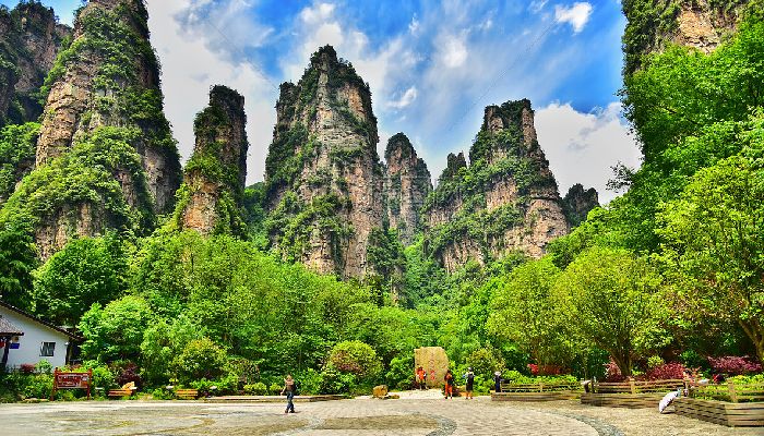 Zhangjiakou National Forest Park