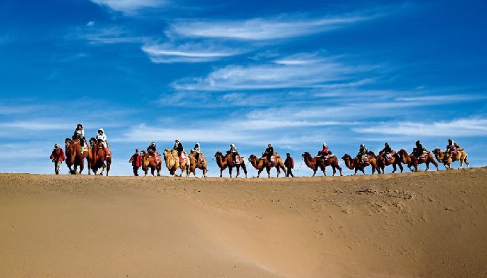 Camel Caravan At Mingsha Mountain In Dunhuang