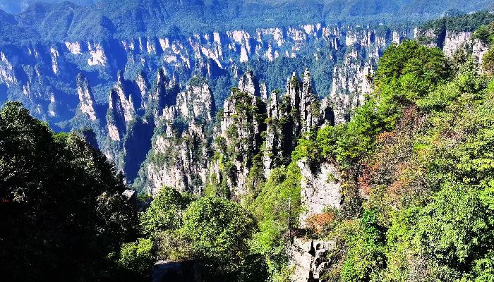 Zhangjiajie Wulingyuan Peak Forest