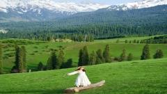 Qiaxi Grassland Travel Guide (Xinjiang): Self-Drive Route, Photo Spots & Hidden Valley Itinerary