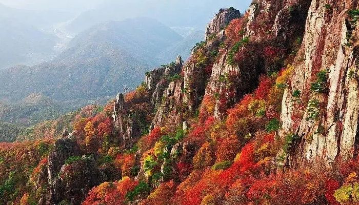 Zhangjiajie Peak Forest in Autumn