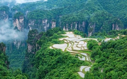 Hong Kong to Zhangjiajie Transportation Guide | A Stress-Free Travel Compendium