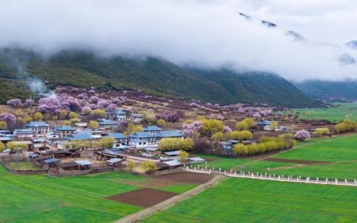 China Spring Travel Guide: Embark on a Romantic Date with Mountains, Rivers and Blossoms