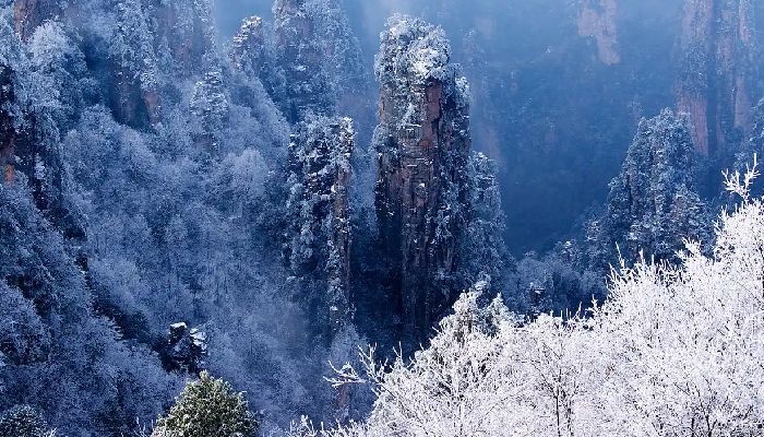 Rime Scenery on Tianmen Mountain