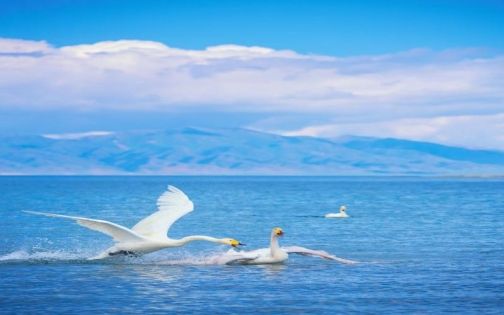 Xinjiang Summer Weather Guide: Dry Heat, Big Temperature Swings & Intense Sunshine