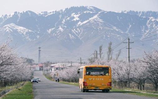 China Spring Travel Guide: Embark on a Romantic Date with Mountains, Rivers and Blossoms