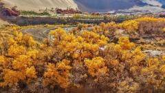 Dunhuang in September: Complete Guide to Weather, Attractions, Tickets, Costs & Tips