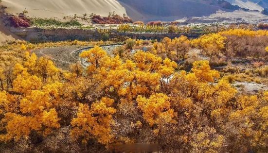 Dunhuang in September: Complete Guide to Weather, Attractions, Tickets, Costs & Tips