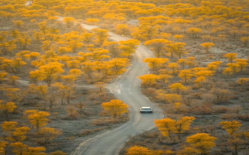 13 Days Ultimate Southern Xinjiang Expedition