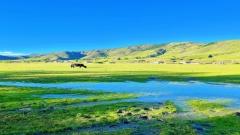 Xinduqiao Travel Guide ： Routes, Photo Spots & Self-Drive Tips