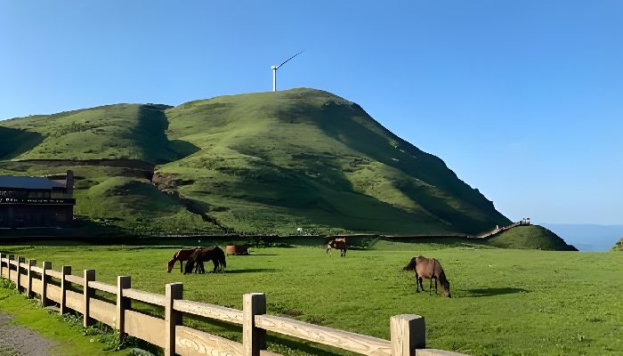 Wumeng Grassland in Liupanshui, Guizhou in Summer