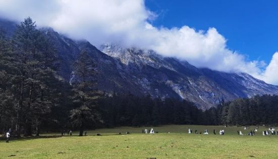 Jade Dragon Snow Mountain Spruce Flat Alpine Meadow