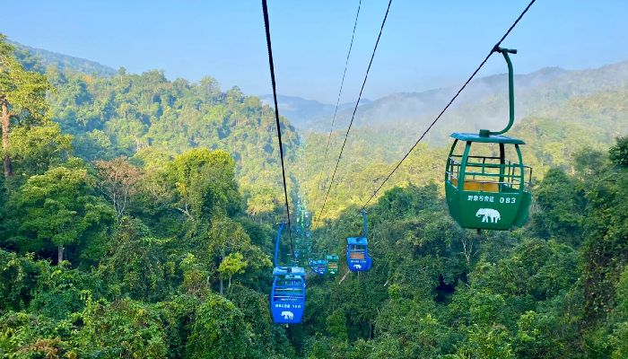 Rainforest Cableway in Wild Elephant Valley, Xishuangbanna