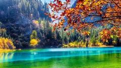 Where is the Most Beautiful Autumn in China? Four Top Autumn Scenic Spots