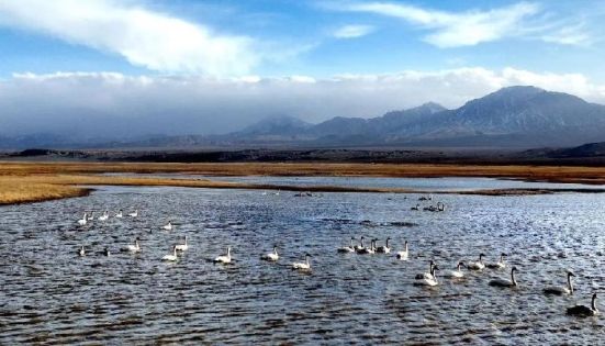 Subei Yanchiwan Wetland in Autumn