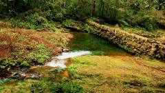 Zhangjiajie in December: Weather, Snow Scenery & Essential Winter Travel Guide