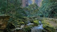 Zhangjiajie Weather in May: What to Expect and How to Prepare