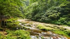 Zhangjiajie Family Travel Guide: Enjoy with Seniors and Kids