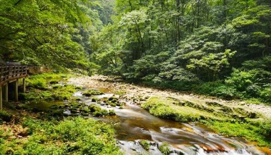 Zhangjiajie Family Travel Guide: Enjoy with Seniors and Kids