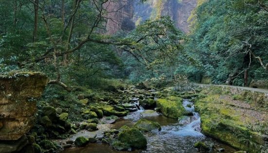 Zhangjiajie Weather in May: What to Expect and How to Prepare