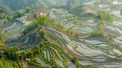 Hidden Gems in Yunnan: Yuanyang, Mile and Mangshi Travel Guide for Curious Travelers