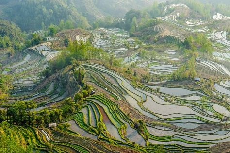 Hidden Gems in Yunnan: Yuanyang, Mile and Mangshi Travel Guide for Curious Travelers