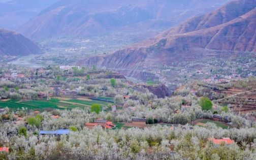 China Spring Travel Guide: Embark on a Romantic Date with Mountains, Rivers and Blossoms