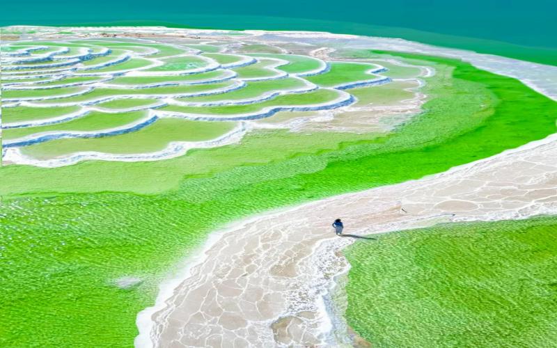 13-day, 12-night in-depth tour of Lanzhou, Gansu, and Qinghai