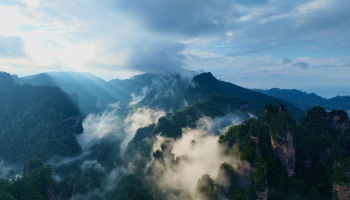 Sea Of Clouds In Huangshizhai, Zhangjiajie