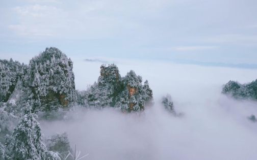 Complete Guide to Zhangjiajie Travel in December: Snow-Covered Peaks, Crowd-Free Fun