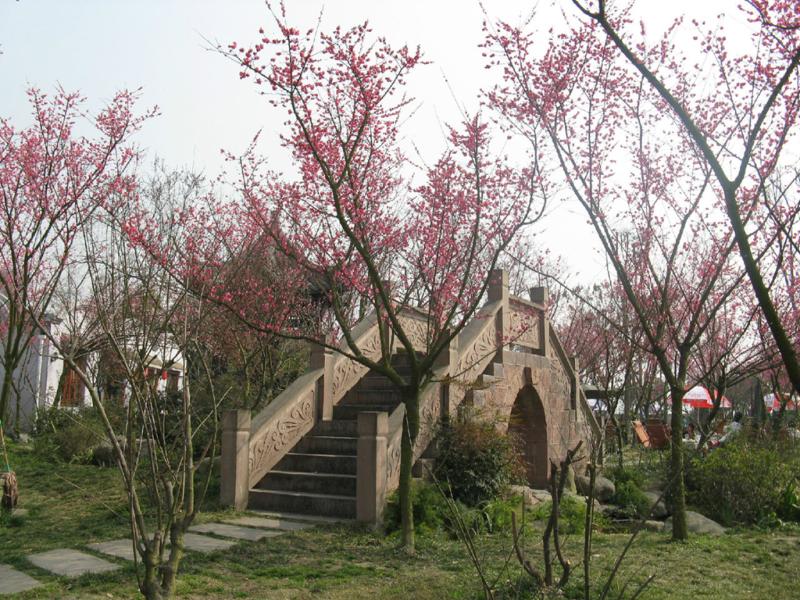 Xingfu Meilin, Chengdu