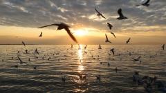 6-Day Yunnan Tour from Kunming to Dali, and Lijiang