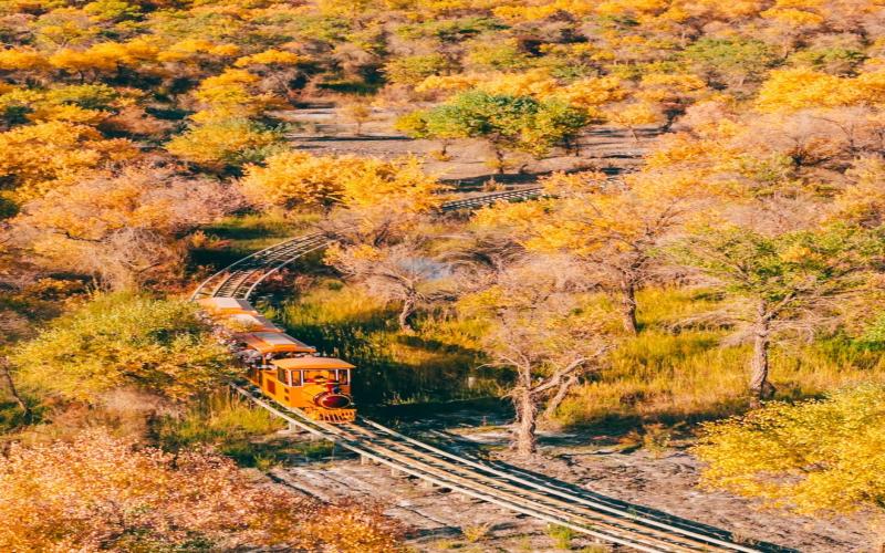 13 Days Ultimate Southern Xinjiang Expedition