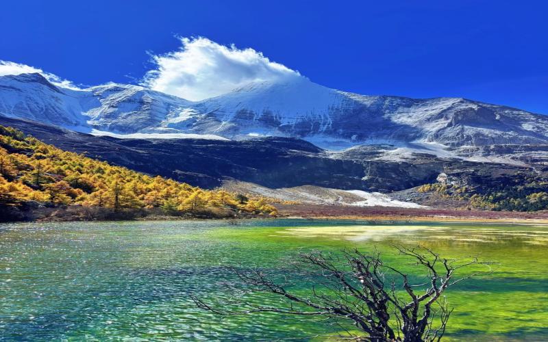 318 Sichuan-Tibet Highway 12-Day Tour: Chengdu to Lhasa via Yading