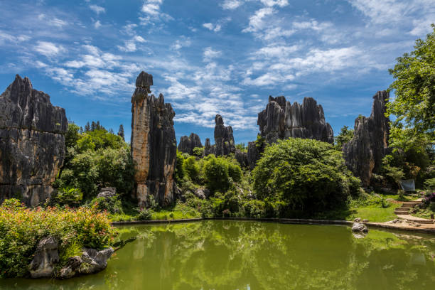 China - East Asia, Stone Forest - Kunming, Yunnan Province, Clear Sky, Copy Space. The Stone Forest or Shilin  is a notable set of limestone formations. The tall rocks seem to arise from the ground in a manner somewhat reminiscent of stalagmites, or with many looking like petrified trees, thereby creating the illusion of a forest made of stone. Since 2007, two parts of the site have been UNESCO World Heritage Sites as part of the South China Karst.