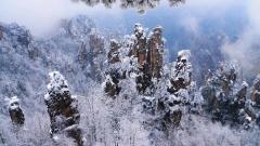 Zhangjiajie January Weather Guide: Temperature, Dressing & Attraction Tips